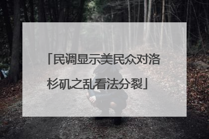 民调显示美民众对洛杉矶之乱看法分裂