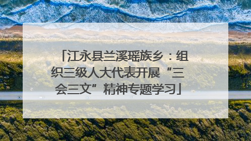 江永县兰溪瑶族乡：组织三级人大代表开展“三会三文”精神专题学习