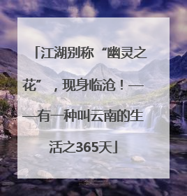 江湖别称“幽灵之花”，现身临沧！——有一种叫云南的生活之365天