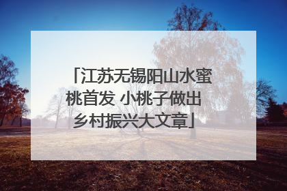 江苏无锡阳山水蜜桃首发 小桃子做出乡村振兴大文章