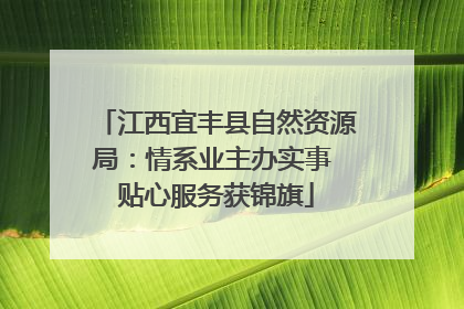 江西宜丰县自然资源局：情系业主办实事 贴心服务获锦旗