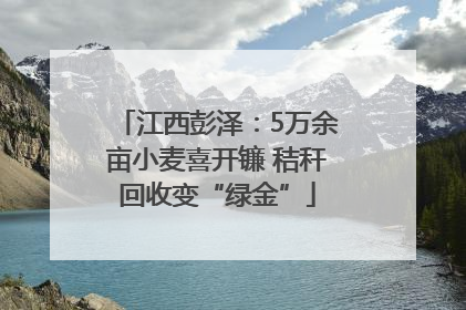 江西彭泽：5万余亩小麦喜开镰 秸秆回收变“绿金”