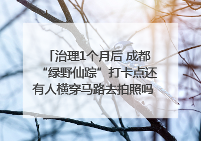治理1个月后 成都“绿野仙踪”打卡点还有人横穿马路去拍照吗？｜民情瞭望