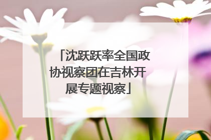 沈跃跃率全国政协视察团在吉林开展专题视察
