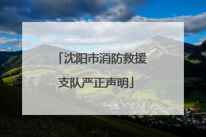 沈阳市消防救援支队严正声明