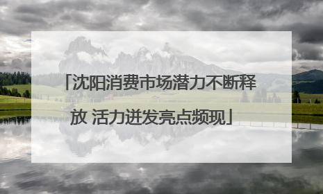 沈阳消费市场潜力不断释放 活力迸发亮点频现