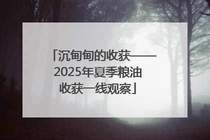 沉甸甸的收获——2025年夏季粮油收获一线观察