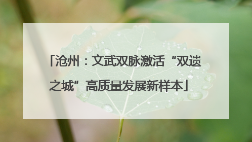 沧州：文武双脉激活“双遗之城”高质量发展新样本