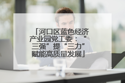 河口区蓝色经济产业园党工委：“三强”提“三力”赋能高质量发展
