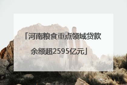 河南粮食重点领域贷款余额超2595亿元