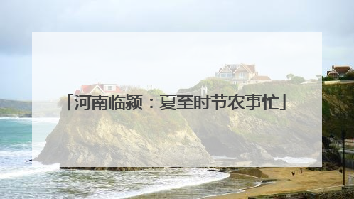 河南临颍：夏至时节农事忙
