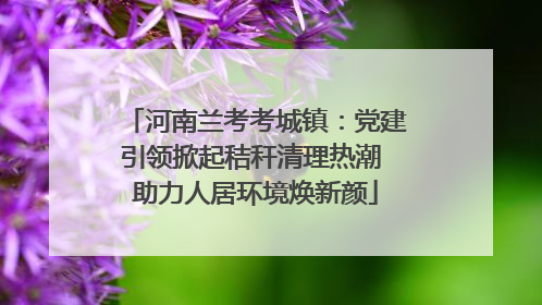 河南兰考考城镇：党建引领掀起秸秆清理热潮 助力人居环境焕新颜