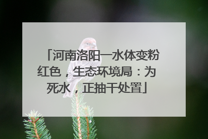 河南洛阳一水体变粉红色，生态环境局：为死水，正抽干处置