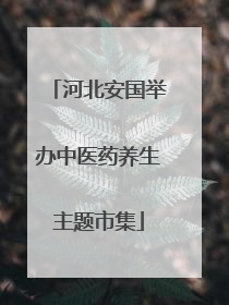 河北安国举办中医药养生主题市集