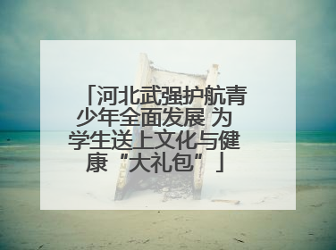 河北武强护航青少年全面发展 为学生送上文化与健康“大礼包”