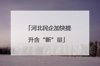 河北民企加快提升含“新”量