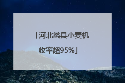 河北蠡县小麦机收率超95%