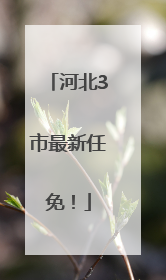 河北3市最新任免！