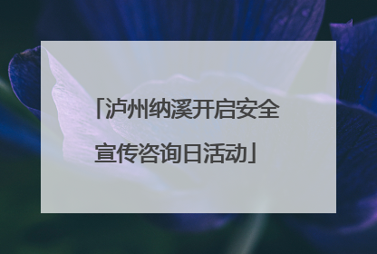 泸州纳溪开启安全宣传咨询日活动