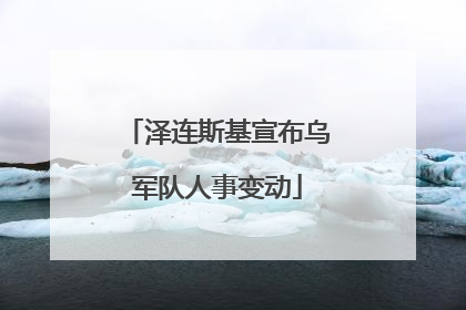 泽连斯基宣布乌军队人事变动