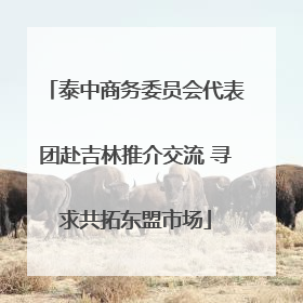 泰中商务委员会代表团赴吉林推介交流 寻求共拓东盟市场