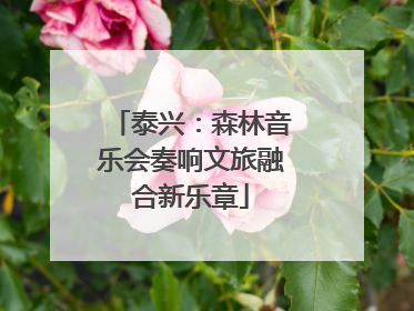 泰兴：森林音乐会奏响文旅融合新乐章
