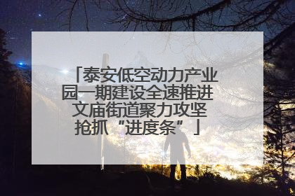 泰安低空动力产业园一期建设全速推进 文庙街道聚力攻坚抢抓“进度条”