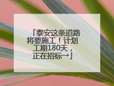 泰安这条道路将要施工！计划工期180天，正在招标→