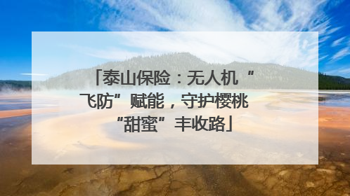 泰山保险：无人机“飞防”赋能，守护樱桃“甜蜜”丰收路