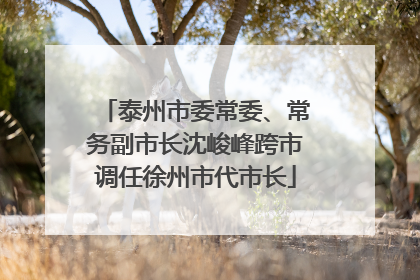 泰州市委常委、常务副市长沈峻峰跨市调任徐州市代市长