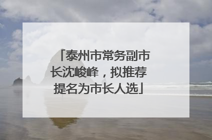 泰州市常务副市长沈峻峰，拟推荐提名为市长人选