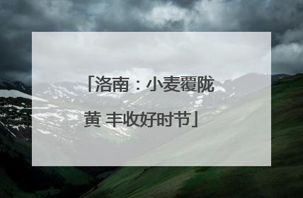 洛南：小麦覆陇黄 丰收好时节