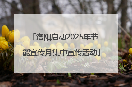 洛阳启动2025年节能宣传月集中宣传活动