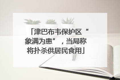 津巴布韦保护区“象满为患”，当局称将扑杀供居民食用