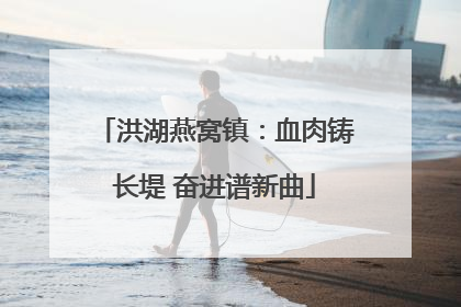 洪湖燕窝镇：血肉铸长堤 奋进谱新曲