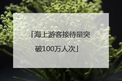 海上游客接待量突破100万人次