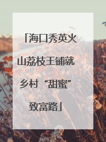 海口秀英火山荔枝王铺就乡村“甜蜜”致富路
