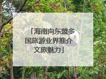 海南向东盟多国旅游业界推介文旅魅力