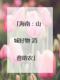 海南：山城好物 消费助农