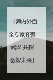 海内外百余专家齐聚武汉 共探数智未来
