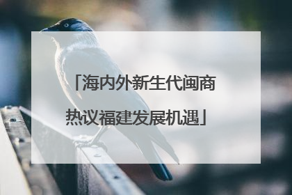 海内外新生代闽商热议福建发展机遇