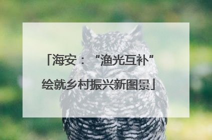 海安：“渔光互补” 绘就乡村振兴新图景
