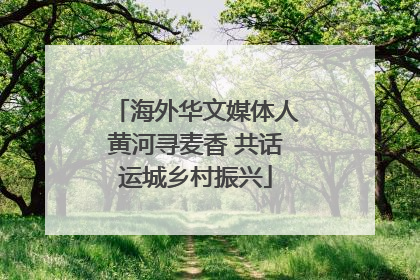 海外华文媒体人黄河寻麦香 共话运城乡村振兴