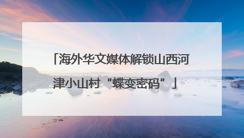 海外华文媒体解锁山西河津小山村“蝶变密码”
