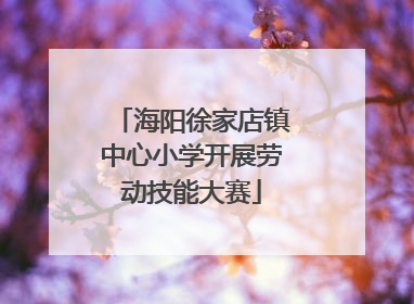 海阳徐家店镇中心小学开展劳动技能大赛