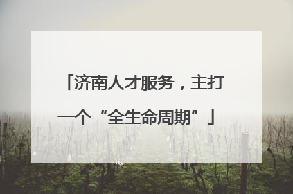 济南人才服务，主打一个“全生命周期”