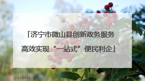 济宁市微山县创新政务服务 高效实现“一站式”便民利企