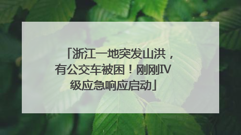 浙江一地突发山洪，有公交车被困！刚刚Ⅳ级应急响应启动