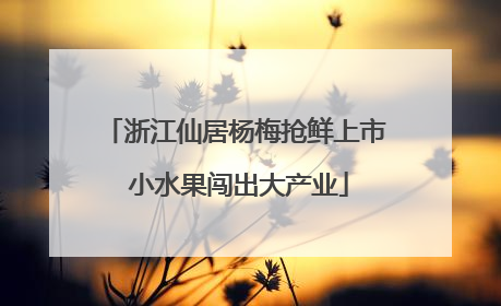 浙江仙居杨梅抢鲜上市 小水果闯出大产业