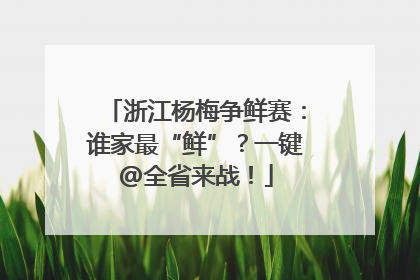 浙江杨梅争鲜赛：谁家最“鲜”？一键@全省来战！